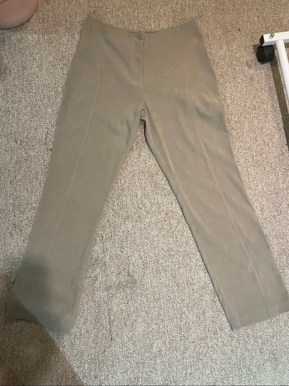 Express
Beige Stretch Ponte Leggings Pants